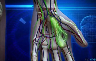 Medical and Healthcare Video 3D Reel