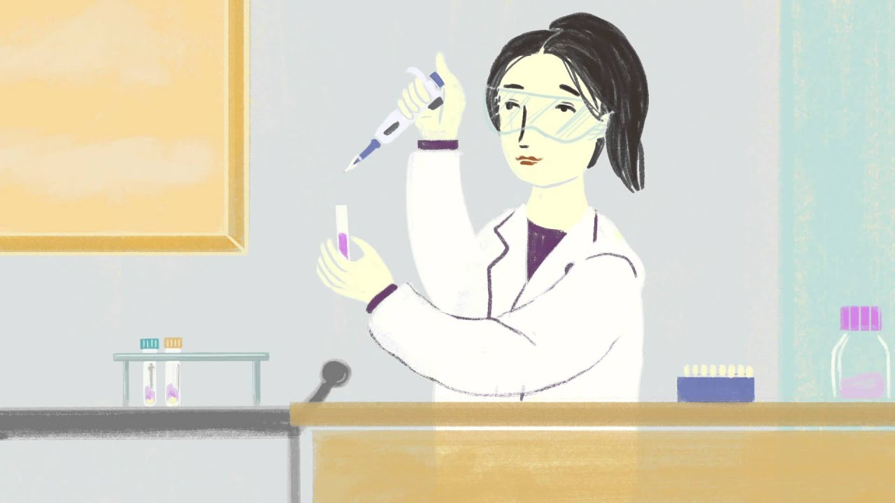 2D animation for Dr. Susan Love's Research Foundation